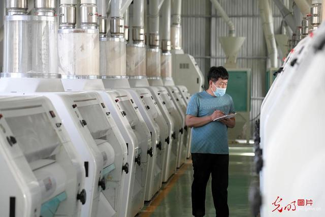 2022年9月9日,在河北省文安县一家食品,工人正在巡视面粉生产